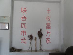 联合闯市场,丰收富万家
