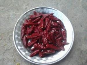 香辣子弹头