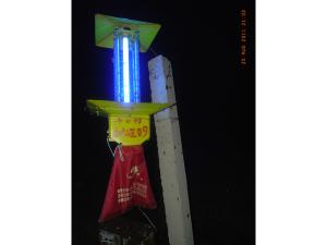 夜间杀虫效果
